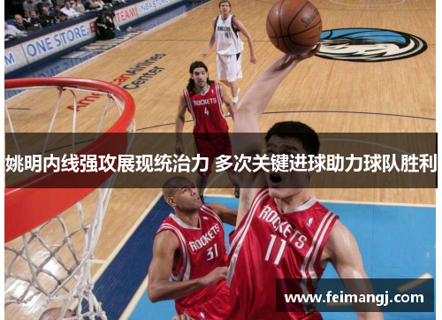 姚明内线强攻展现统治力 多次关键进球助力球队胜利