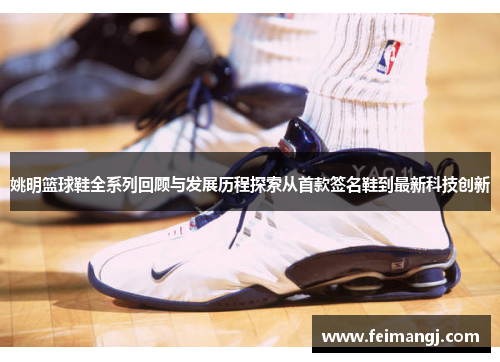 姚明篮球鞋全系列回顾与发展历程探索从首款签名鞋到最新科技创新