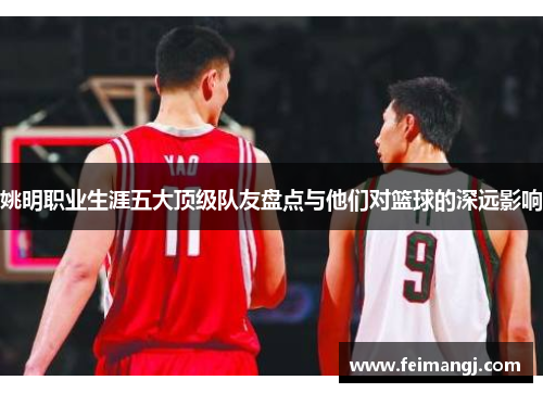 姚明职业生涯五大顶级队友盘点与他们对篮球的深远影响