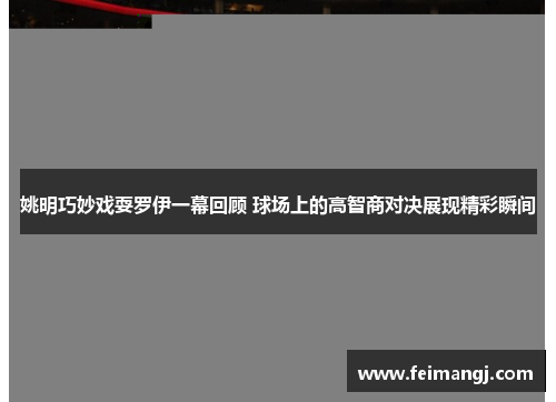 姚明巧妙戏耍罗伊一幕回顾 球场上的高智商对决展现精彩瞬间