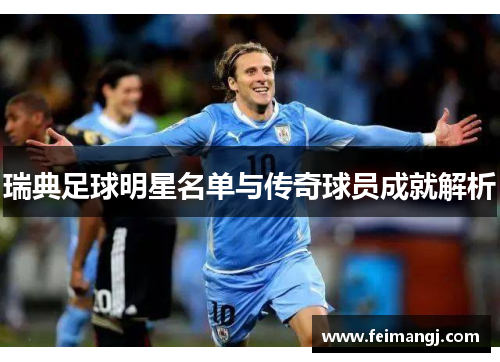 瑞典足球明星名单与传奇球员成就解析