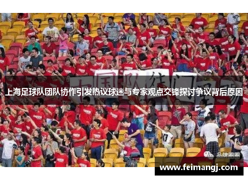 上海足球队团队协作引发热议球迷与专家观点交锋探讨争议背后原因