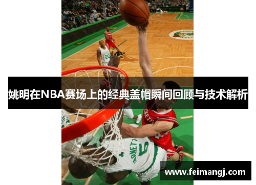 姚明在NBA赛场上的经典盖帽瞬间回顾与技术解析