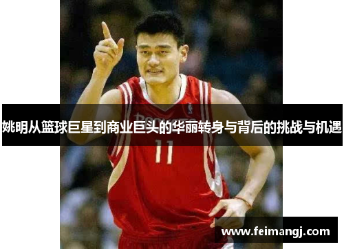姚明从篮球巨星到商业巨头的华丽转身与背后的挑战与机遇