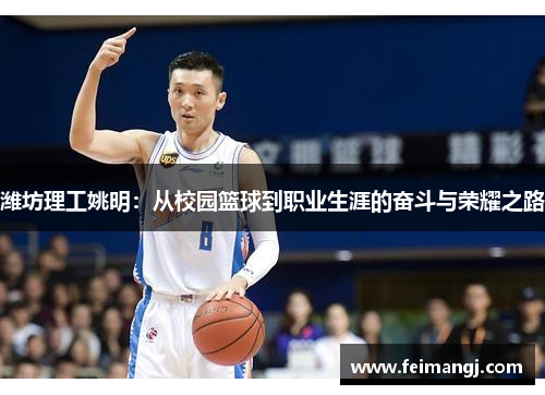 潍坊理工姚明：从校园篮球到职业生涯的奋斗与荣耀之路