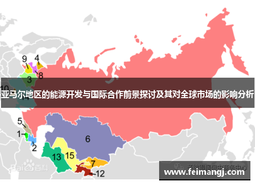 亚马尔地区的能源开发与国际合作前景探讨及其对全球市场的影响分析